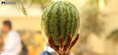 娱乐圈的大瓜吃瓜,揭秘明星背后的惊人真相