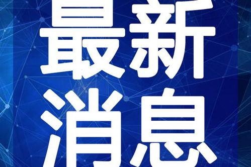 烟妹最新爆料新闻视频,最新爆料新闻视频深度解析